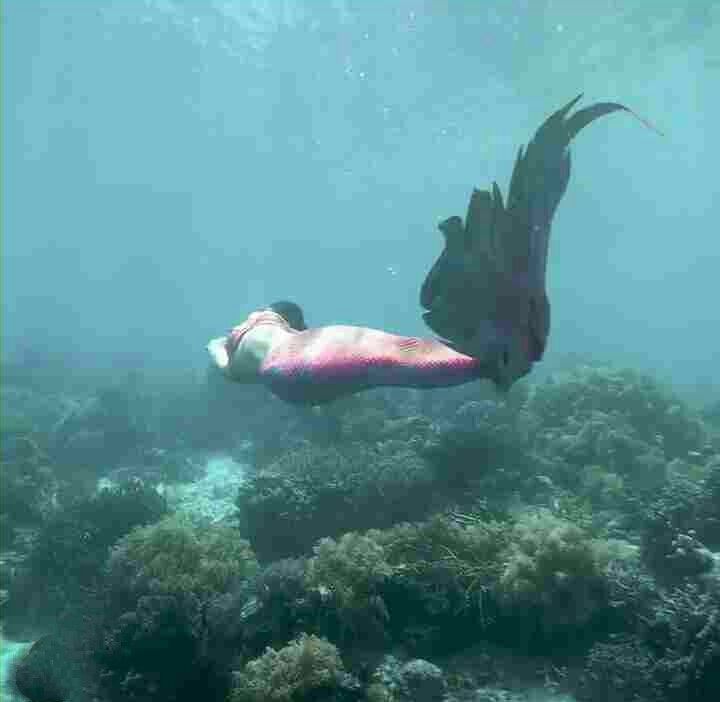 Nina Dobrev Photos Under Water