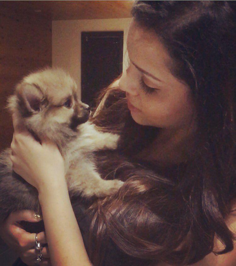 Paisa Vasool Herione Kyra Dutt Latest Unseen Photos