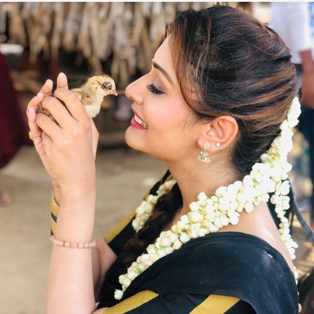 Payal Rajput New Images