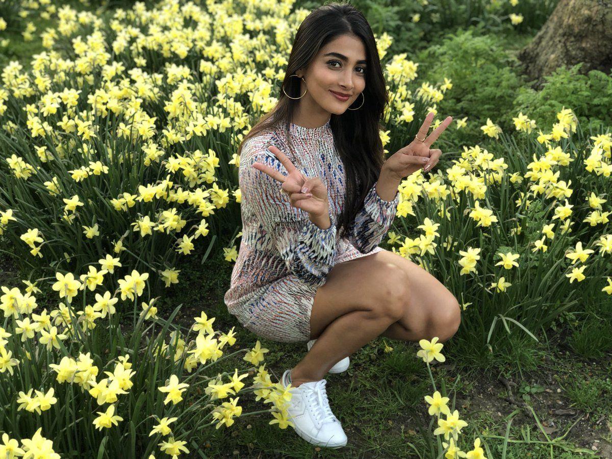 Pooja Hegde Stunning Beautiful Hot Unseen Photos Stills