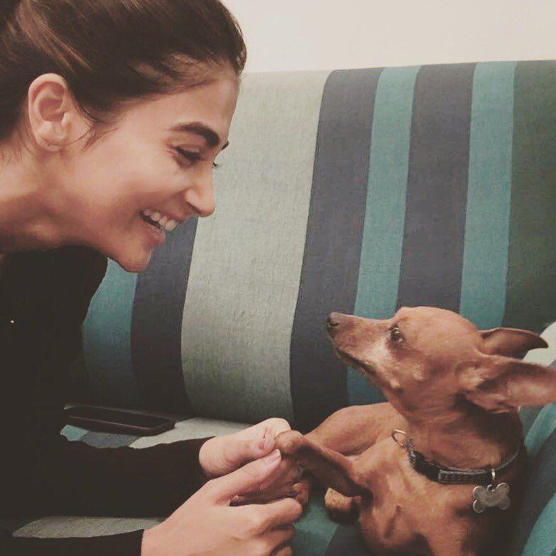Pooja Hegde Stunning Beautiful Hot Unseen Photos Stills