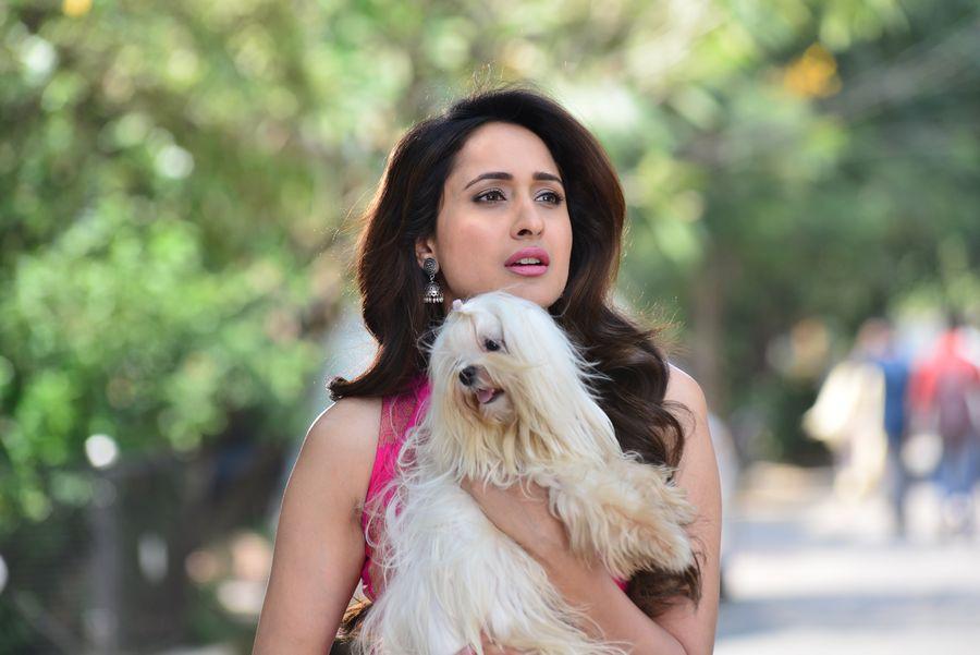 Pragya Jaiswal New Stills from Gunturodu Movie