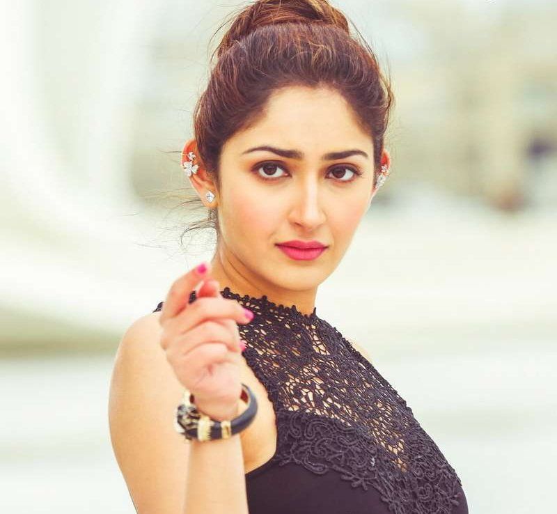 Sayesha Saigal Latest Images