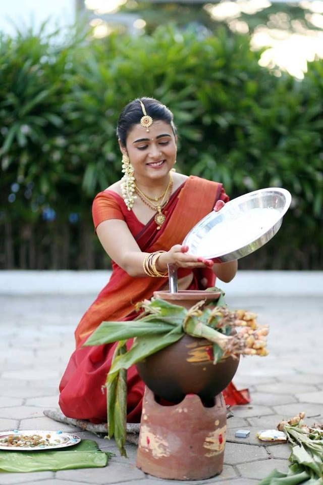 Shalini Pandey celebrated Pongal Photos