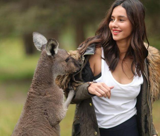 Shibani Dandekar Bikini pics