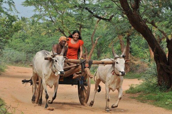 Shivada Nair Latest Cute Stills