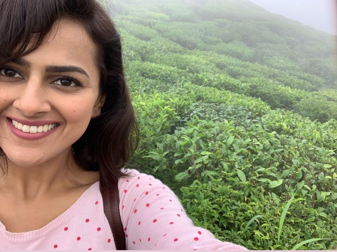 Shraddha Srinath Latest New Gallery