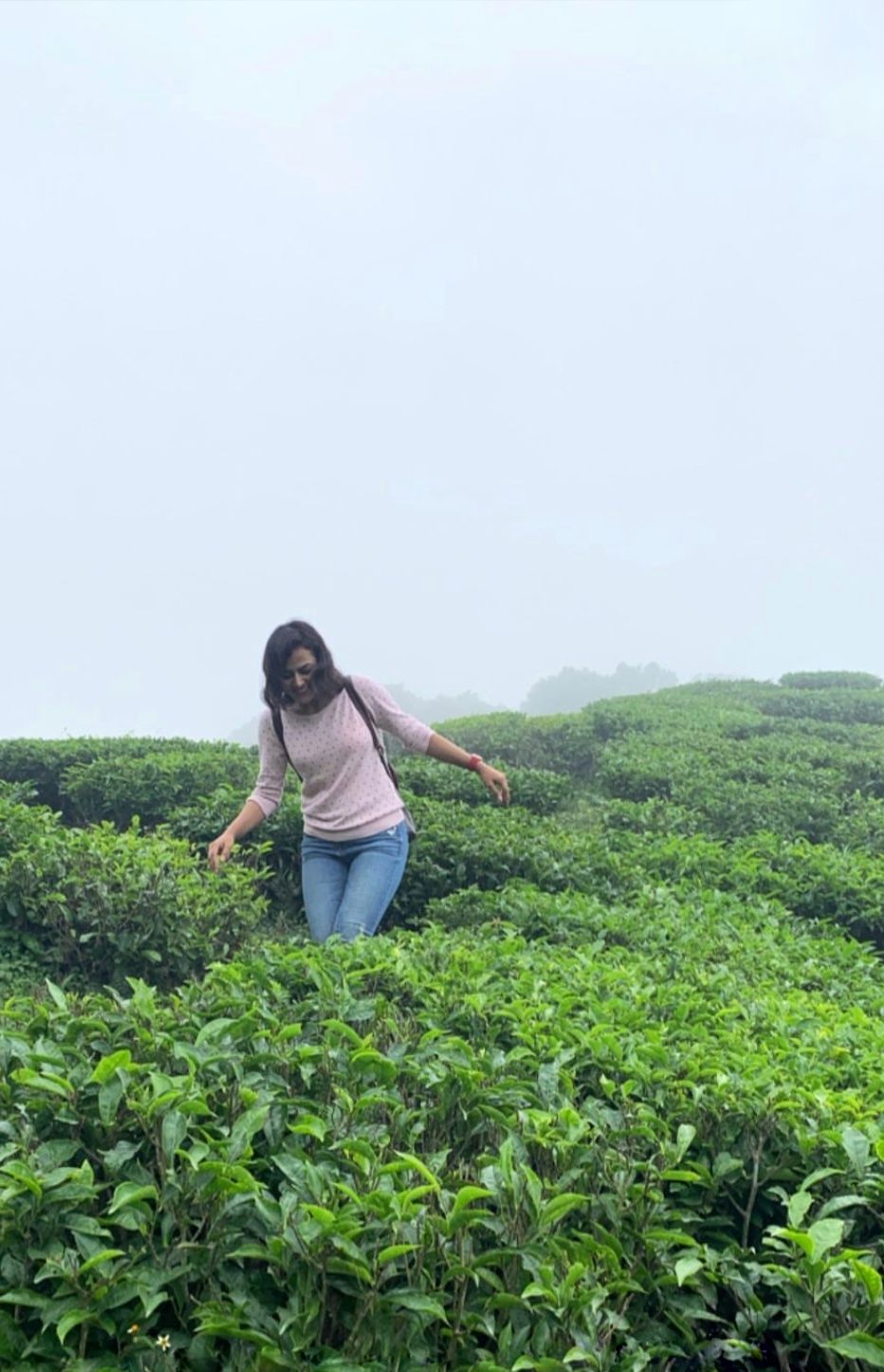 Shraddha Srinath Latest New Gallery