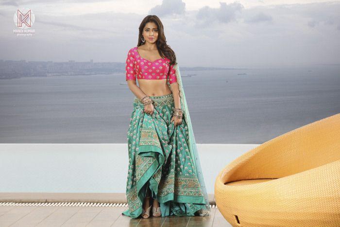 Shriya Saran Hot Photoshoot Stills