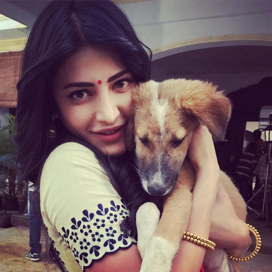 Shruti Hassan Latest Stills from Katamarayudu