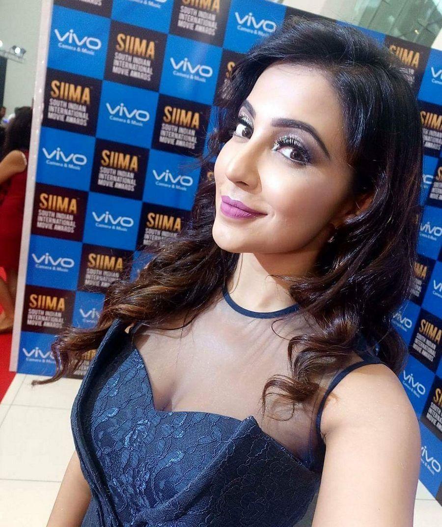 South Indian Actresses at SIIMA Awards Day 2 Photos