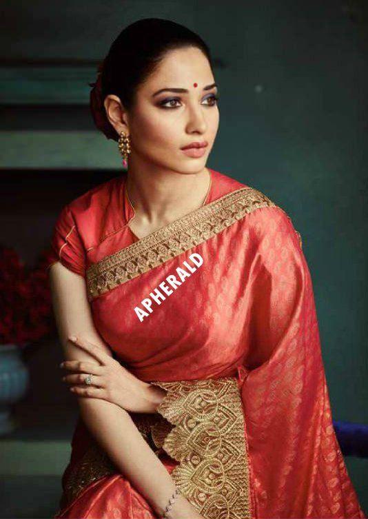 Tamanna's latest saree photoshoot for a Textile showroom