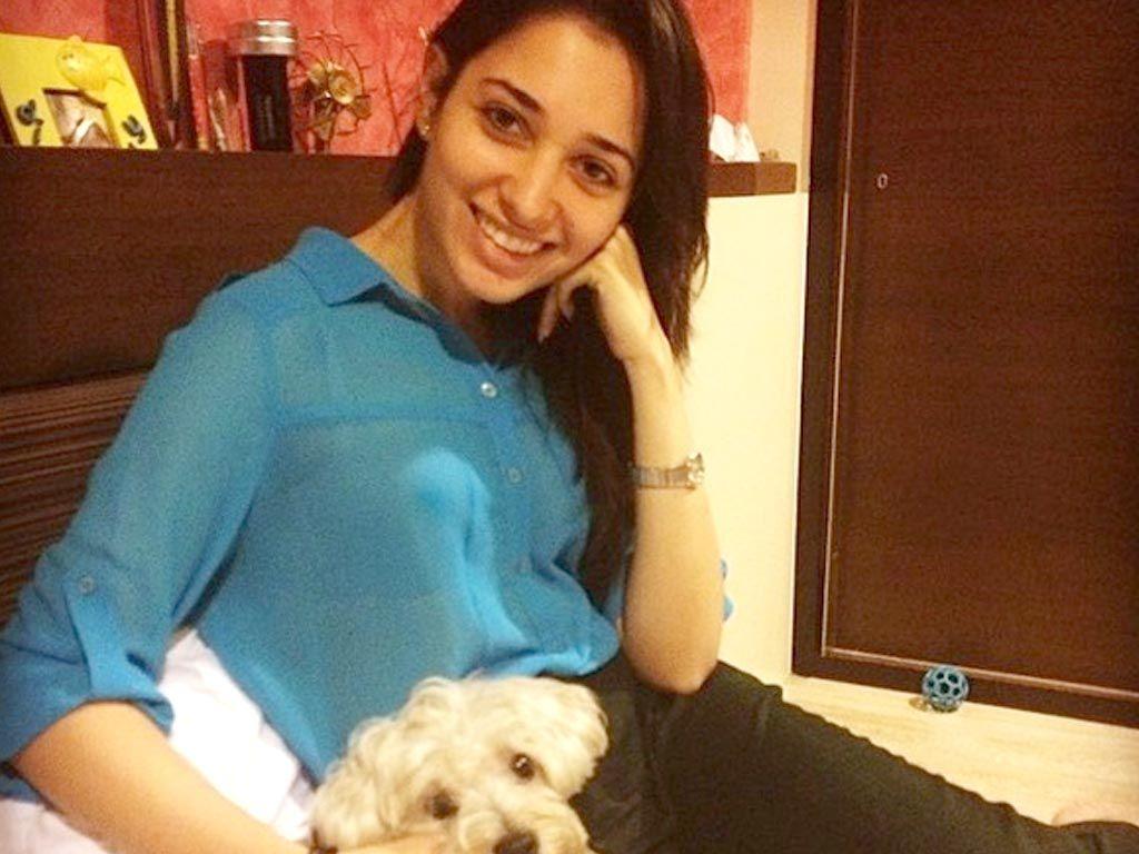 Tamannaah Bhatia Never SEEN Hot Photos Collections
