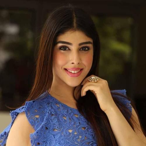 Actress Aditi Singh Photos