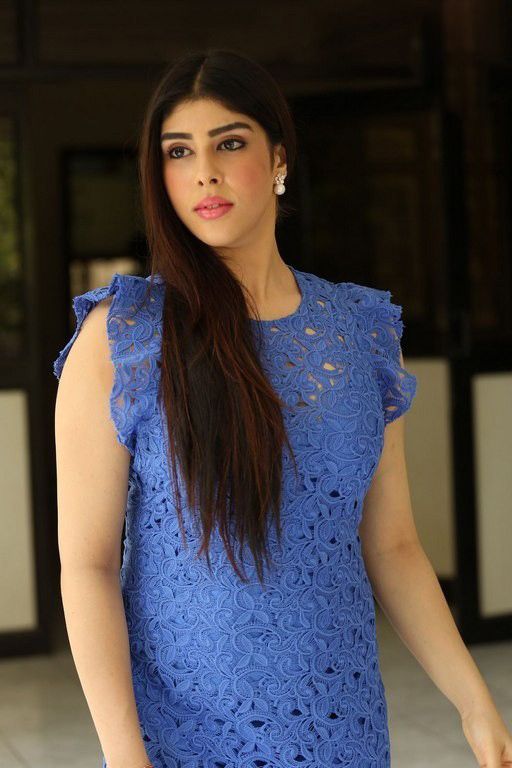 Actress Aditi Singh Photos