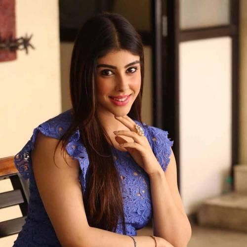 Actress Aditi Singh Photos