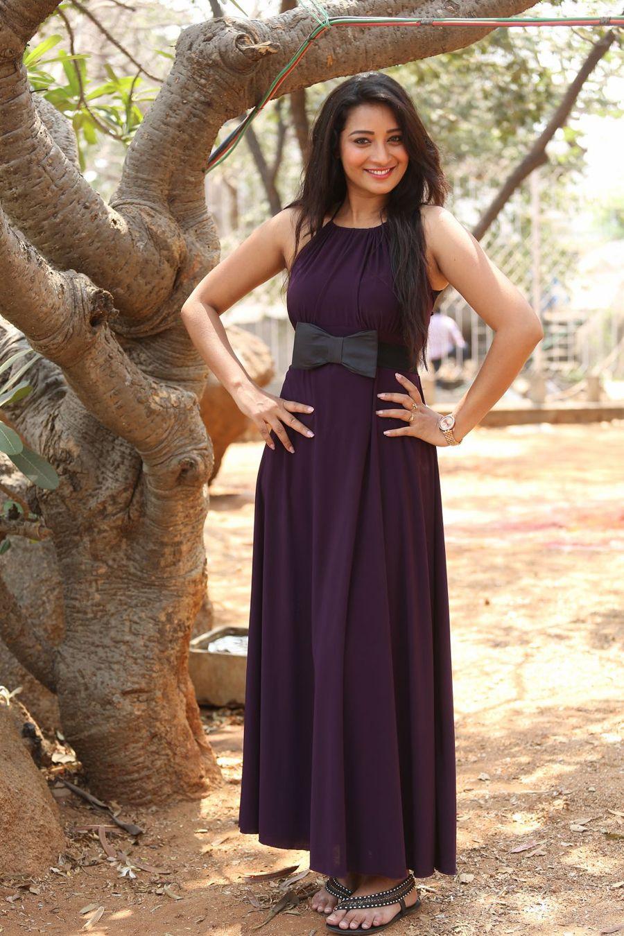 Actress Bhanu Sri Photos