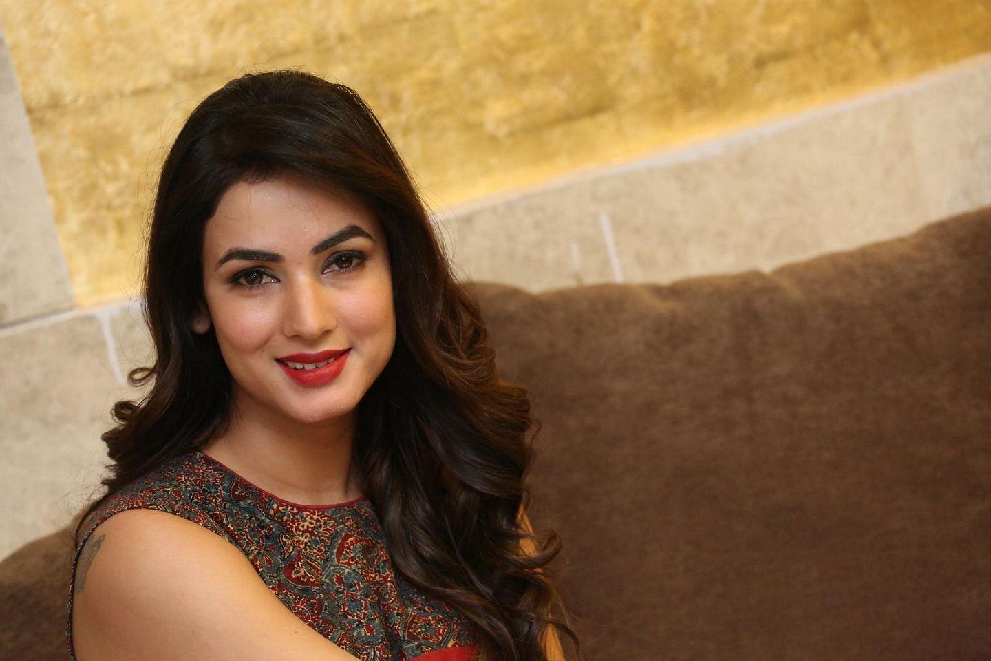  Actress Sonal Chauhan Beautiful Images