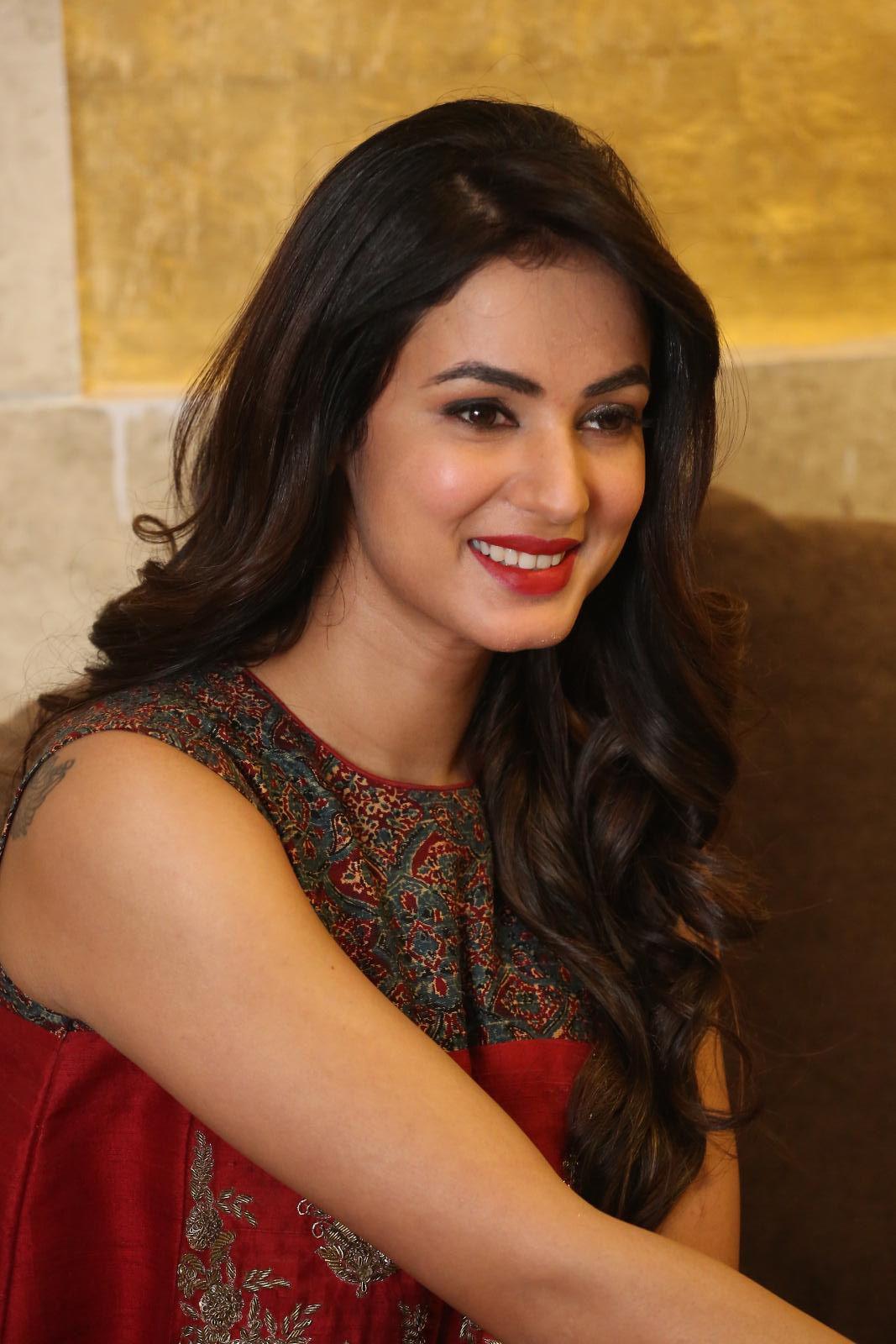  Actress Sonal Chauhan Beautiful Images