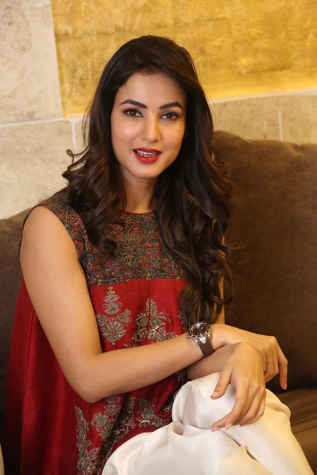  Actress Sonal Chauhan Beautiful Images