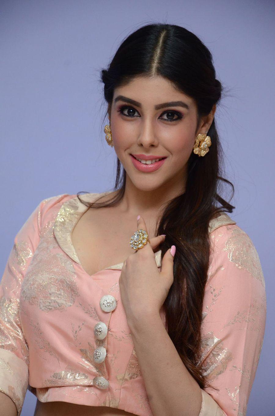 Aditi Singh Stills at Guppedantha Prema Audio Launch