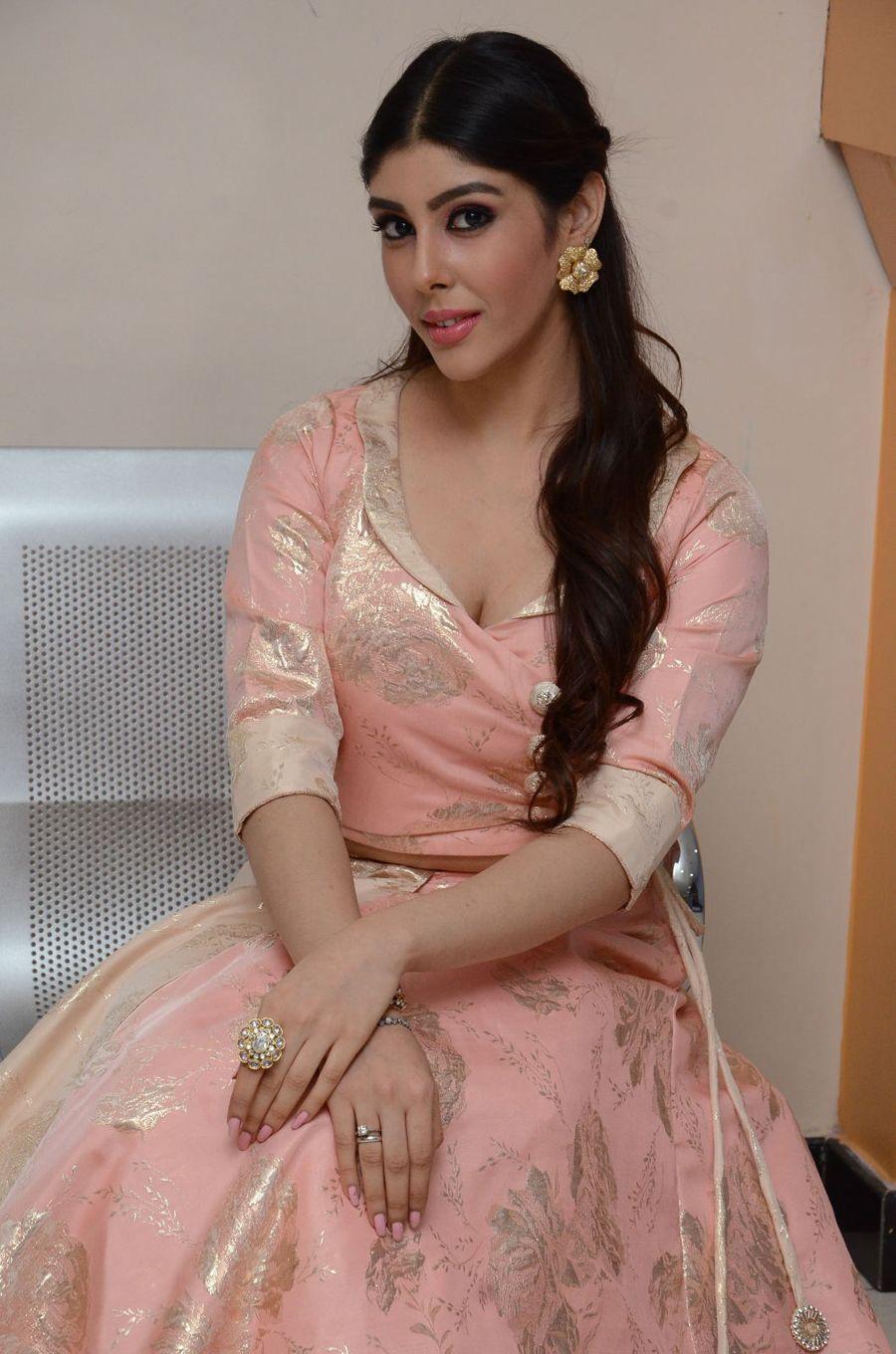 Aditi Singh Stills at Guppedantha Prema Audio Launch