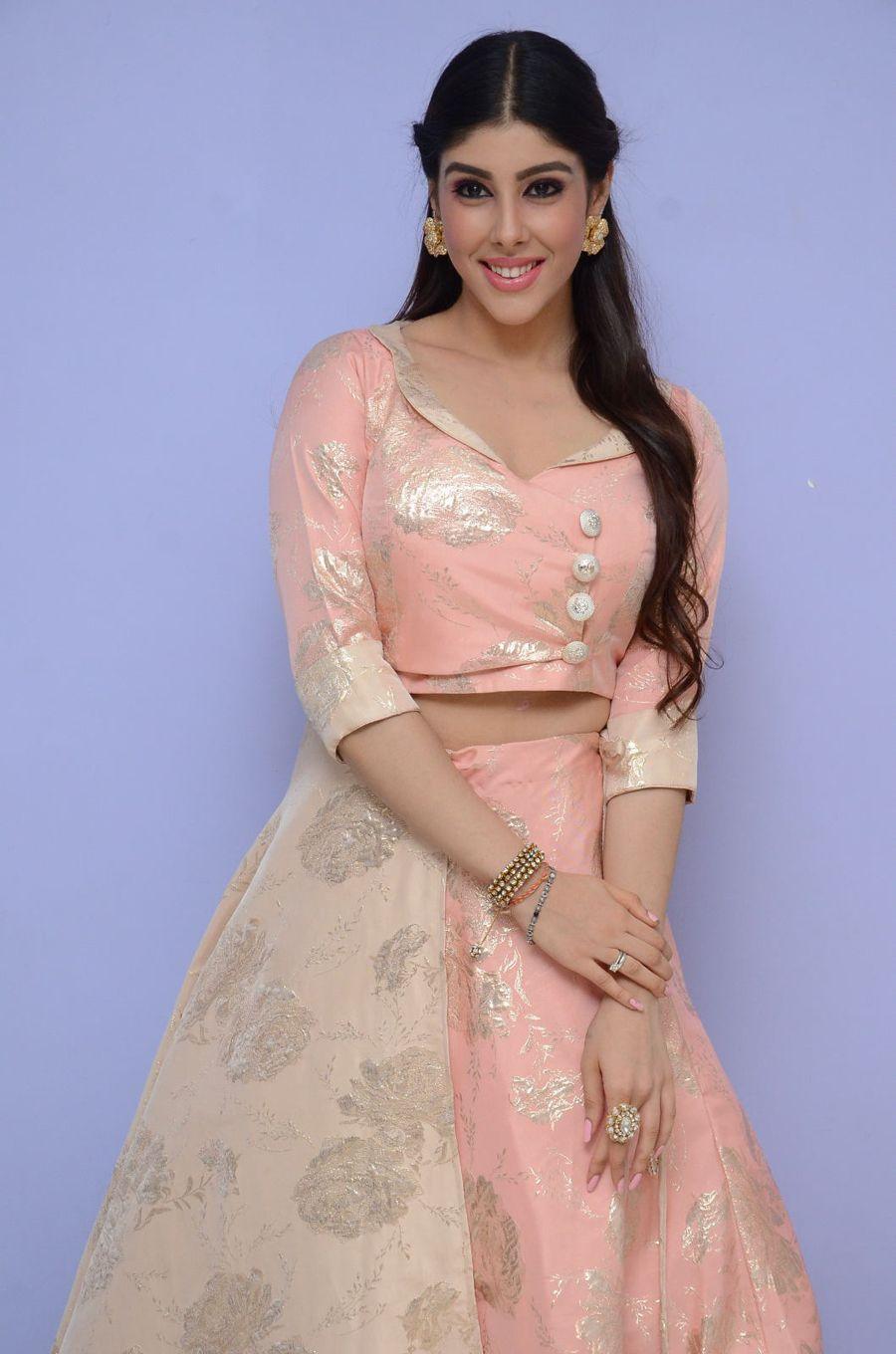 Aditi Singh Stills at Guppedantha Prema Audio Launch