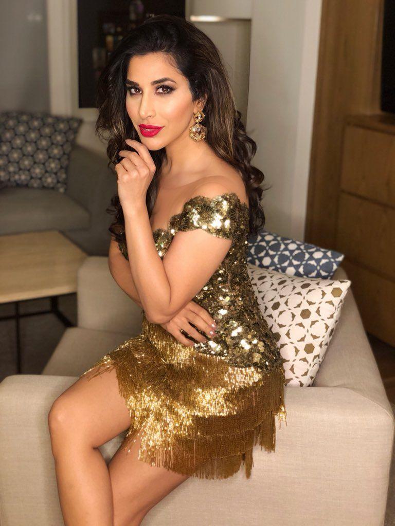 Bollywood Actress Sophie Choudary Latest Hot Photoshoot Gallery