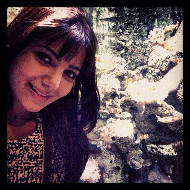 Gorgeous Samantha Rare & Unseen Instagram Photos