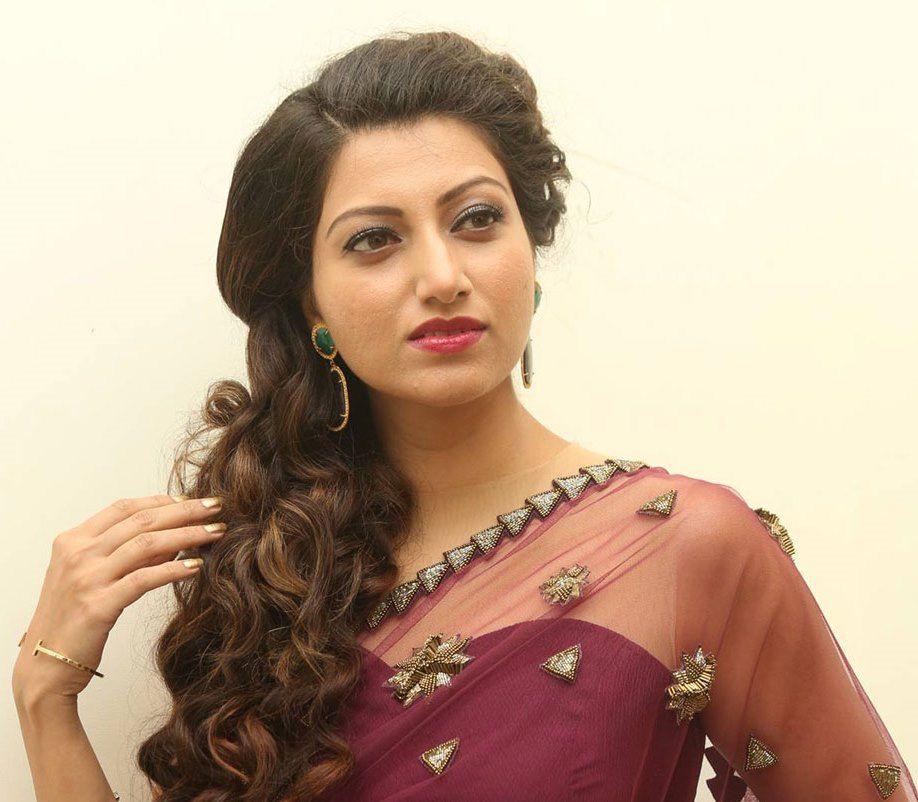 Hamsa Nandini At Bengal Tiger Movie Audio Launch