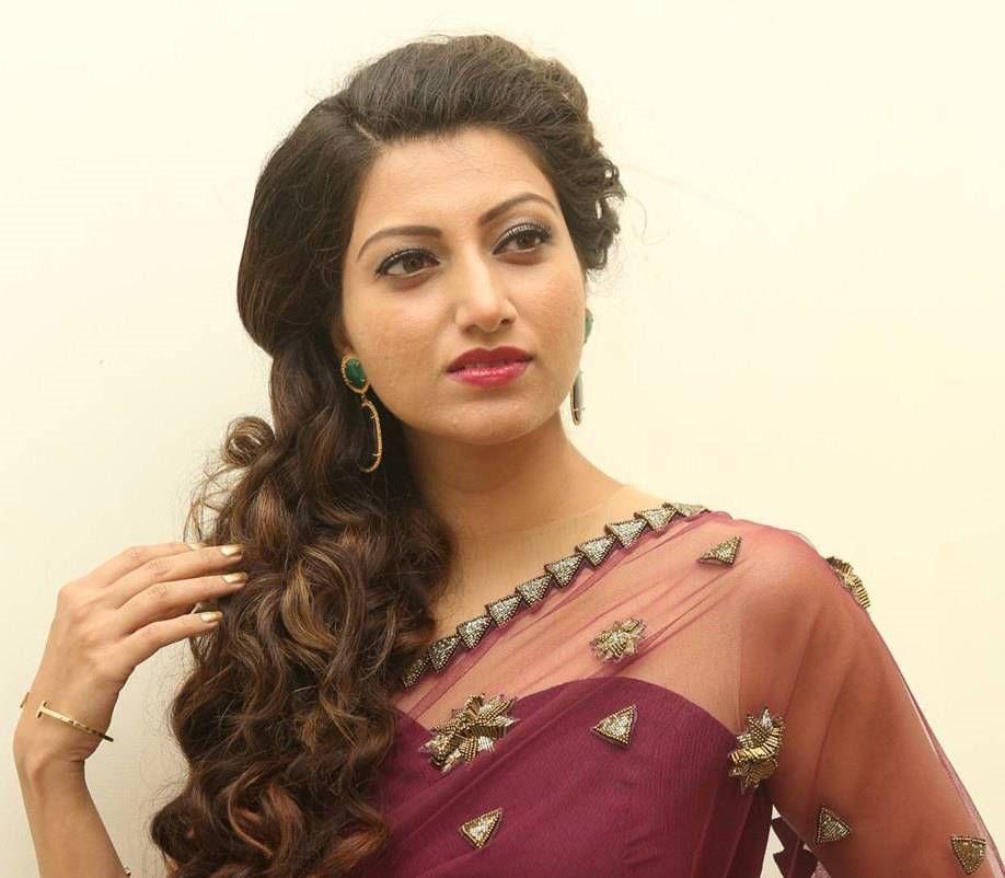 Hamsa Nandini At Bengal Tiger Movie Audio Launch