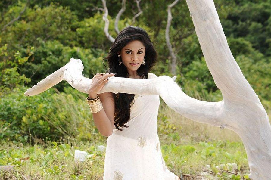 Karthika Nair New Photoshoot Stills