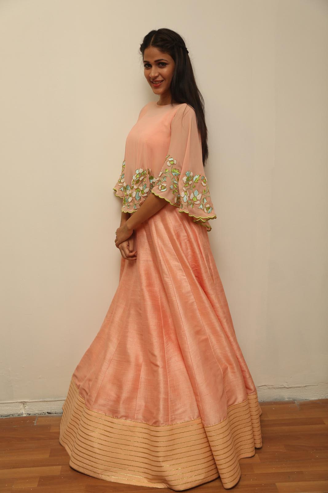 Lavanya Tripathi Cute Beautiful Pics