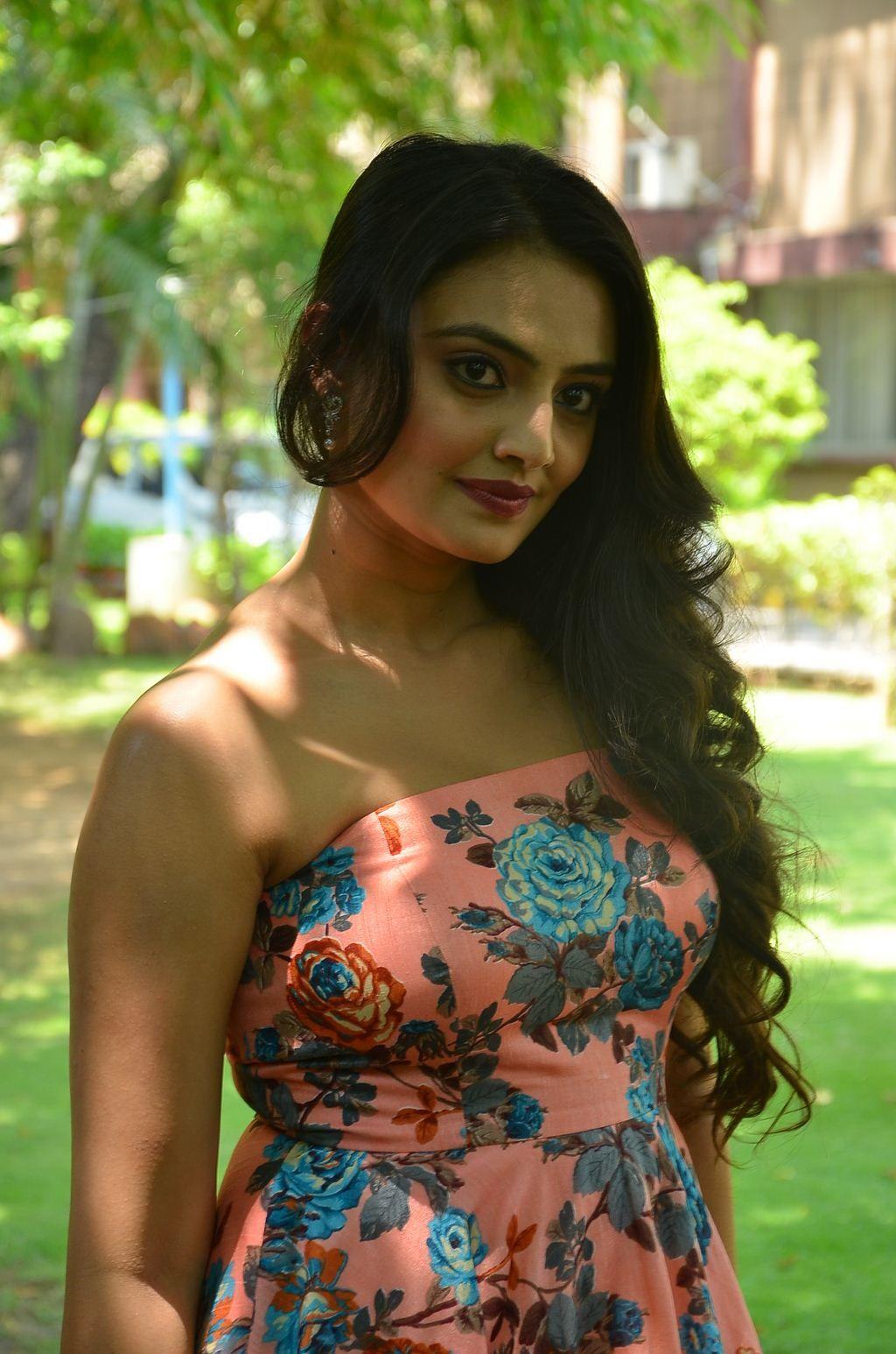 Nikitha Narayan Spicy Pics