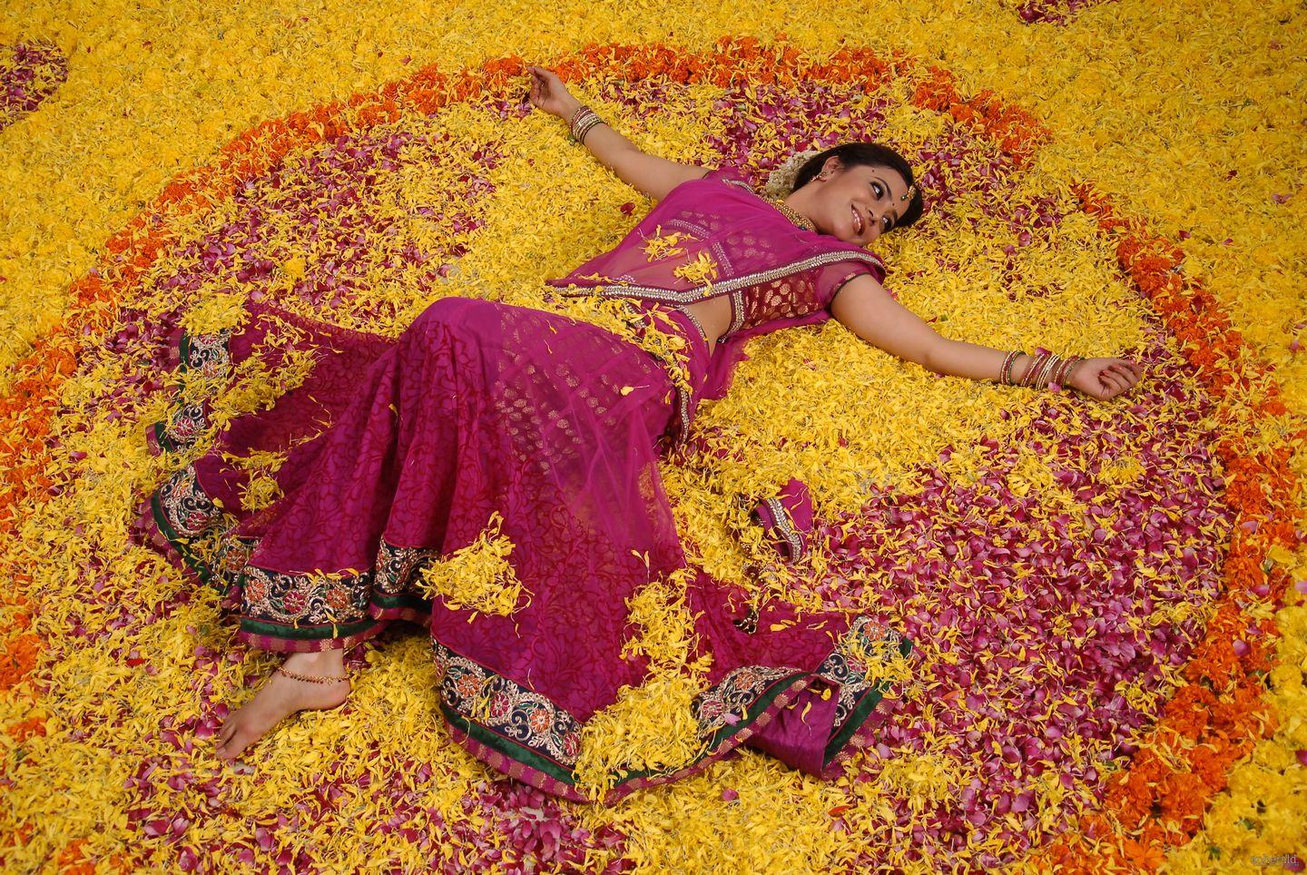 Nisha Agarwal Half Saree Pics