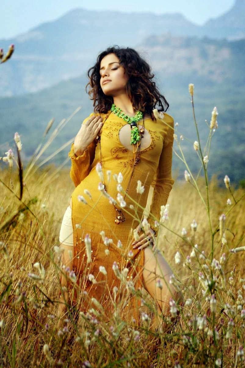 Piaa Bajpai Hot Pics