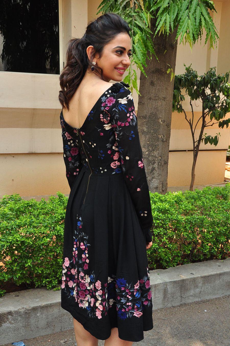 Rakul Preet Singh Stills at Sarrainodu Press Meet