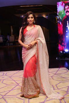 Rashmi Gautam Saree Photos
