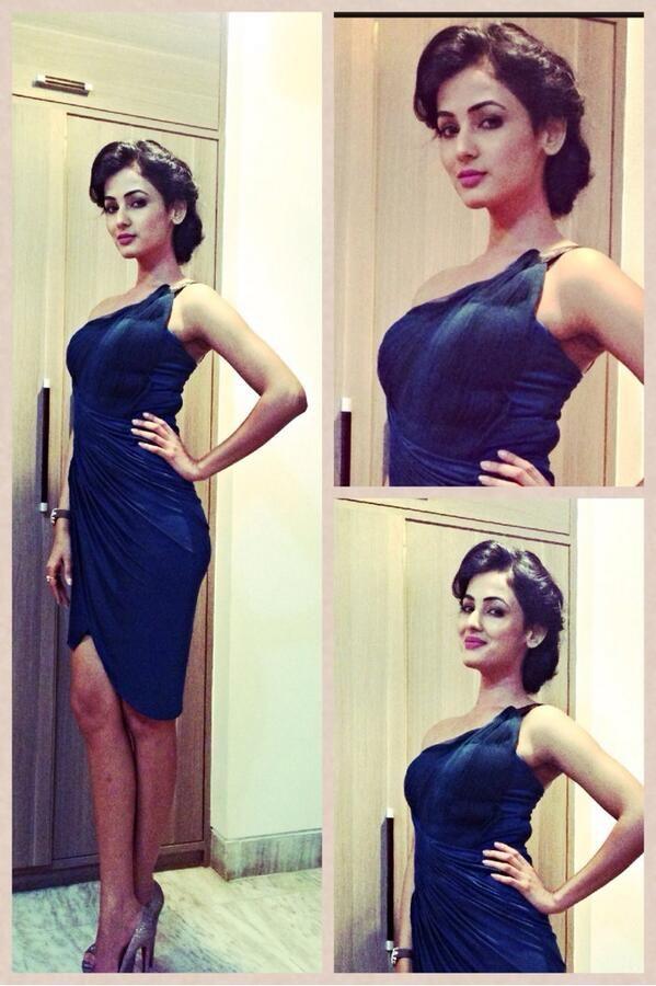 Sonal Chauhan Beautiful Photos