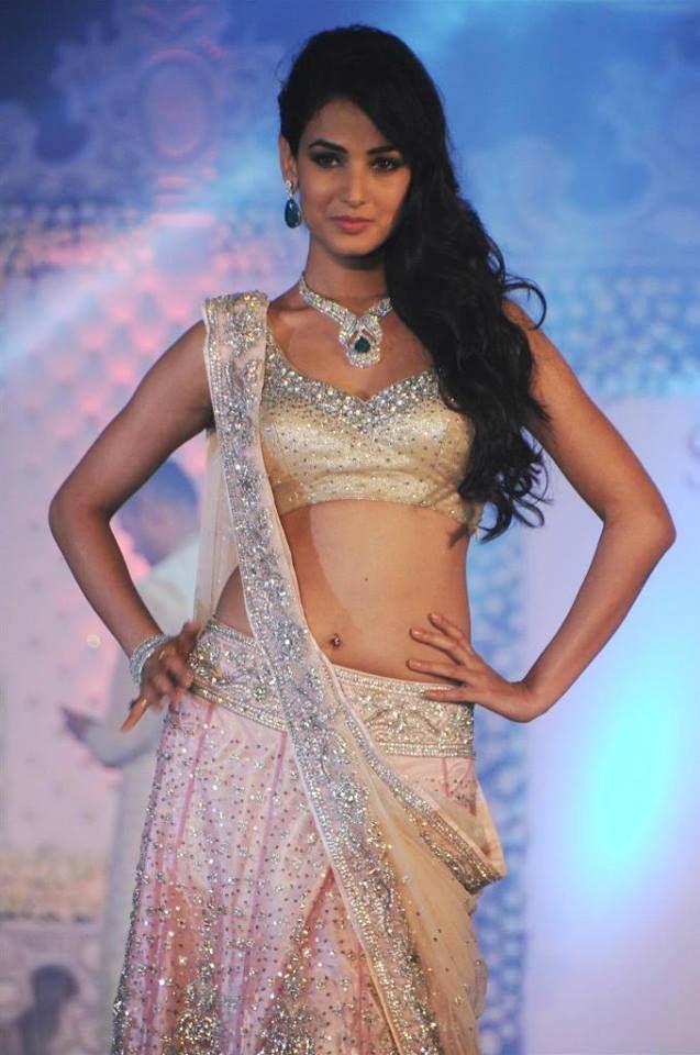 Sonal Chauhan Beautiful Photos
