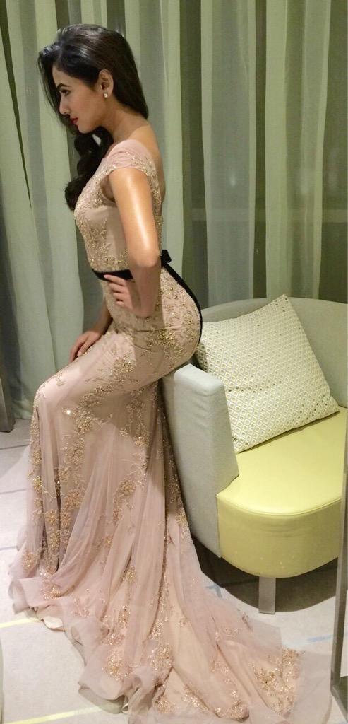 Sonal Chauhan Beautiful Photos