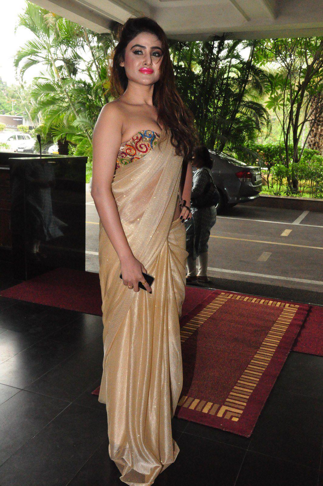 Sony Charishta Saree Pics