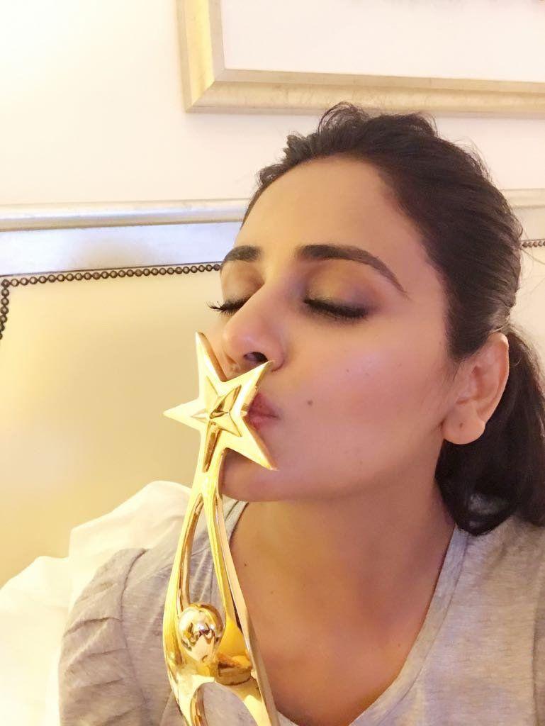 #SIIMA - All the Glam and Glitz 2017 Photos!