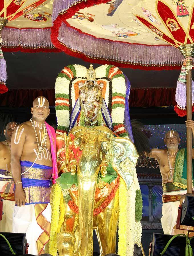 2018 Tirumala Brahmotsavams Gaja Vahanam Seva