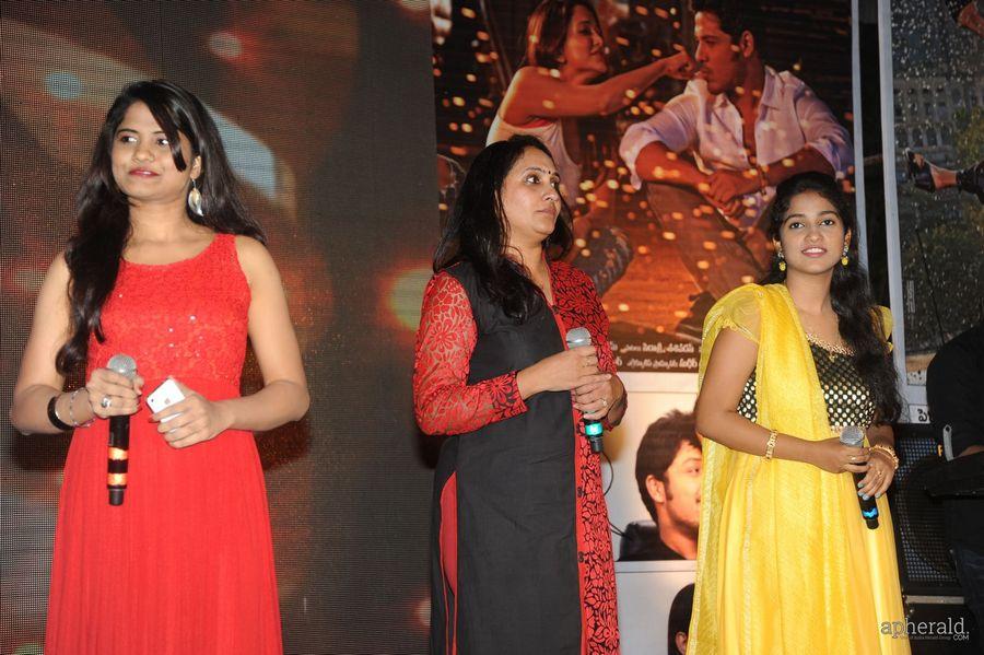 365 Days Audio Launch Photos