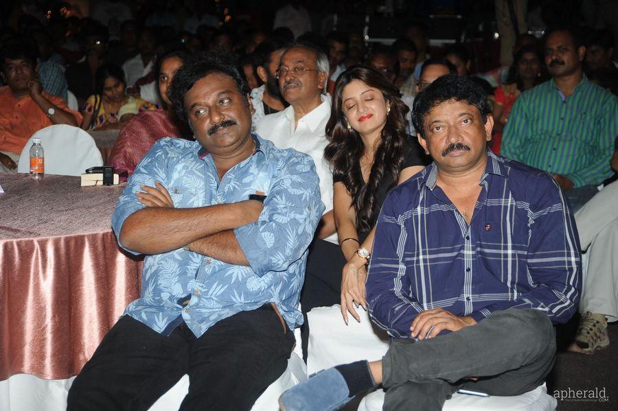 365 Days Audio Launch Photos