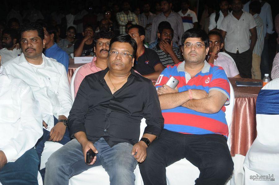 365 Days Audio Launch Photos