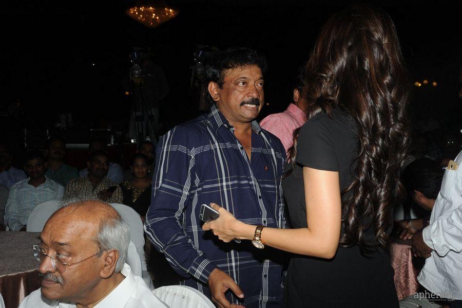 365 Days Audio Launch Photos