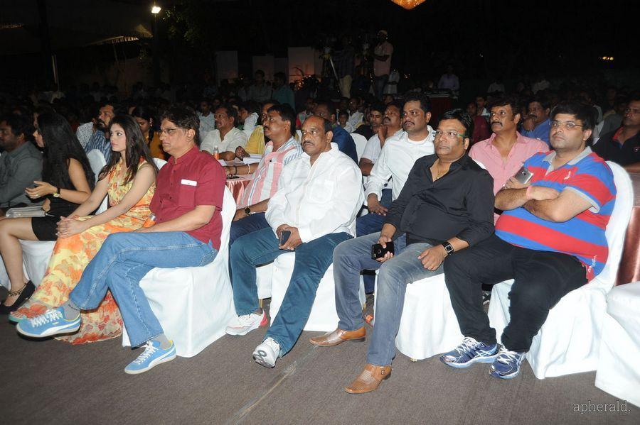 365 Days Audio Launch Photos