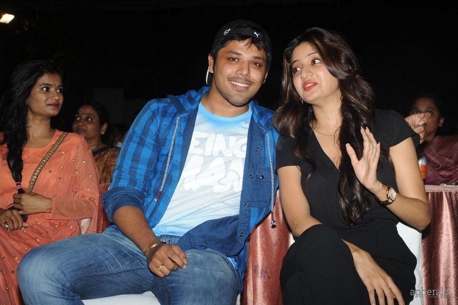 365 Days Audio Launch Photos